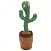 Dancing Cactus Toy Extralink Toys, Singing Toy for Kids LED USB