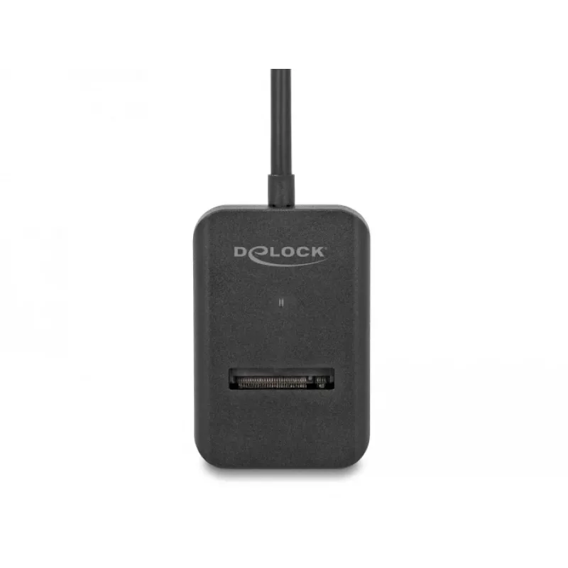 DeLOCK Combo Converter for M.2 NVMe PCIe SATA SSD USB Type-C 10 Gbps