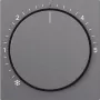 Gira Cover Plate Anthracite 270228 (270228)