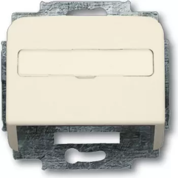 Busch Jaeger 1724-0-1002 Wall Plate/Switch Cover Beige - Silver (1724-0-1002)