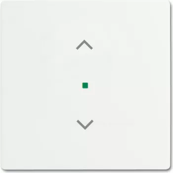 Busch-Jaeger 2CKA006220A0483 Cover Plate for Sensor Holder & -Socket White (2CKA006220A0483)