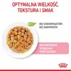 Wet cat food Royal Canin Kitten Gravy 85 g — poultry, 78% moisture, 12% protein