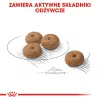Dry dog food Royal Canin Adult Poultry 1 kg — for sterilised small and x-small breeds, protein 30%, fat 13%