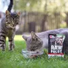 Wet cat food VETEXPERT RAW PALEO Adult Sterilised Beef 100 g pouch, monoprotein, 78% moisture