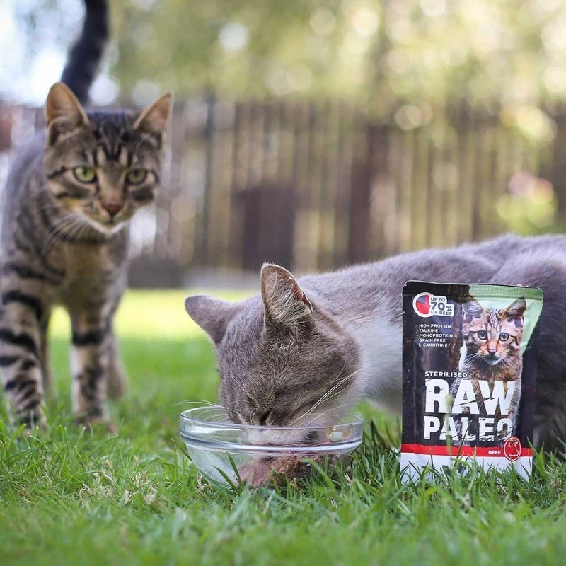Wet cat food VETEXPERT RAW PALEO Adult Sterilised Beef 100 g pouch, monoprotein, 78% moisture