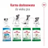 Dry dog food Royal Canin Adult Mini S 8 kg — complete nutrition for small adult dogs