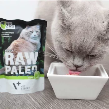 Wet cat food VETEXPERT RAW PALEO Adult Venison 100 g — grain-free single-portion sachet