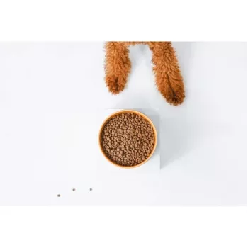 Dry dog food nature’s protection Superior Care Red Coat Adult Small breed Grain free Salmon 10 kg