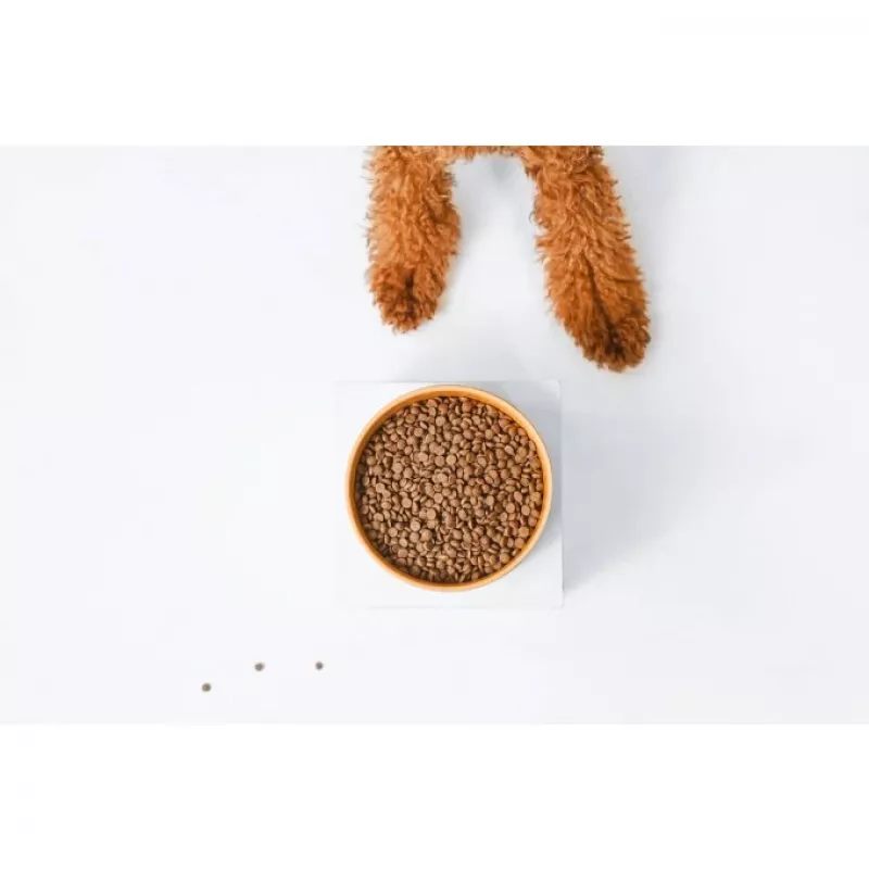 Dry dog food nature’s protection Superior Care Red Coat Adult Small breed Grain free Salmon 10 kg