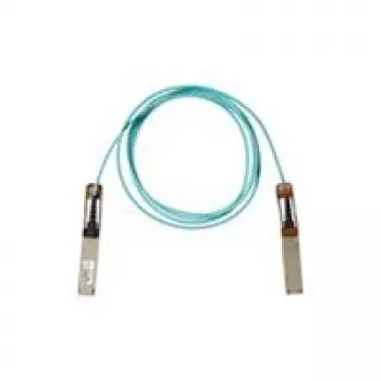 InfiniBand/fibre optic cable Cisco QSFP-100G-AOC1M= 1 m