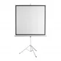 Projection Screen SBOX PSMT-135-2, Viewing Area 240×240 cm, Fixed/Wall-mounted
