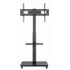 Gembird TVS-75S-02 TV floor stand with caster wheels, 37 - 75, black