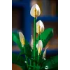 LEGO BOTANICALS 11504 Peace Lily