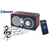 Radio Eltra CZAJKA Bluetooth model — portable radio with Bluetooth connectivity