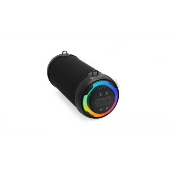 Portable Speaker Denver BTG-213 Black