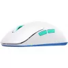 Gaming mouse CHERRY XTRFY M8
