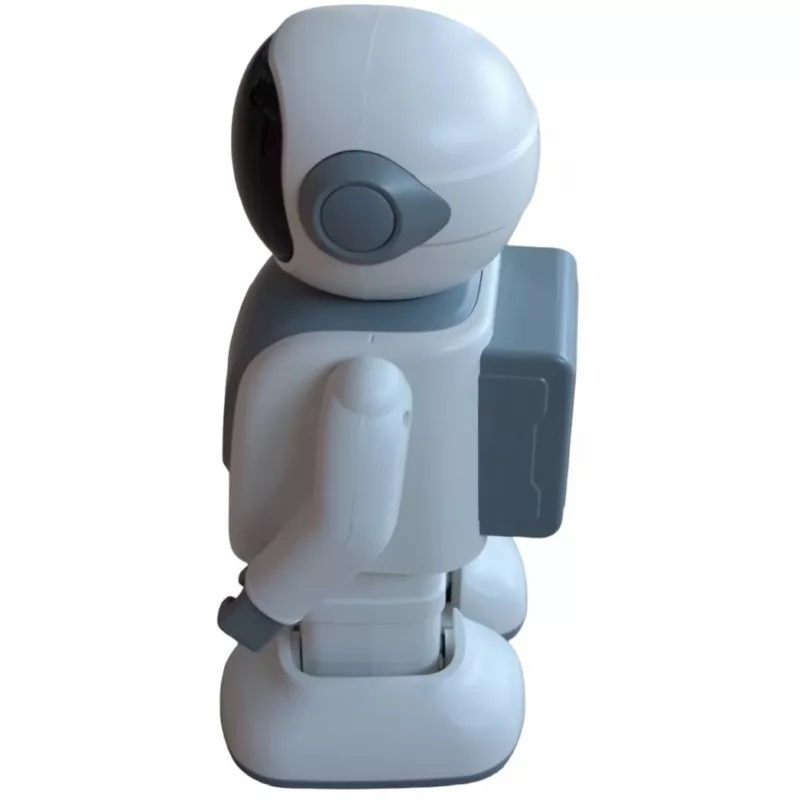 Bluetooth speaker ALLNET Robert with app control — model Robert