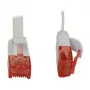 Synergy 21 S216170V2 Network Cable 0,25 m Cat6 U/UTP (UTP) White (S216170V2)