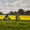 Thule 5405 Shield pannier 25L pair yellow