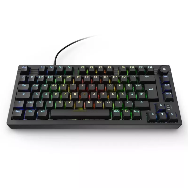 Sharkoon SGK25 Keyboard Home USB QWERTZ German Black 75% RGB LED