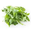Seeds on Tape — Apte Rukola (Eruca sativa) 6 m for Home and Garden Cultivation