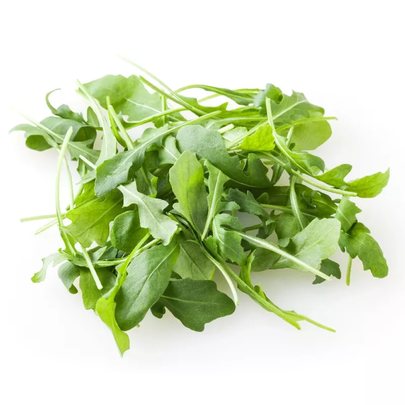 Seeds on Tape — Apte Rukola (Eruca sativa) 6 m for Home and Garden Cultivation