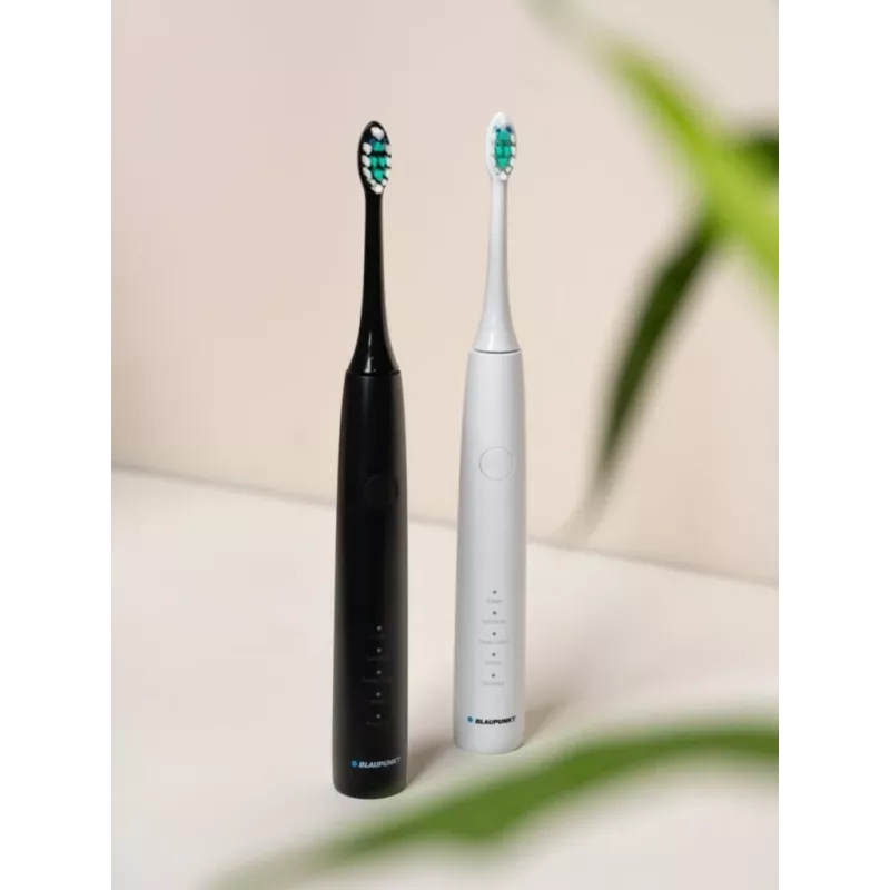 Electric toothbrush BLAUPUNKT DTS201BK — rechargeable sonic, black, 2-min timer, built-in 5V battery