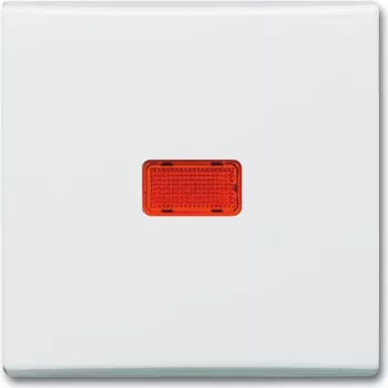 BUSCH JAEGER rocker cws indicator two-way switch 2107-32