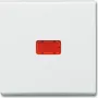 BUSCH JAEGER rocker cws indicator two-way switch 2107-32