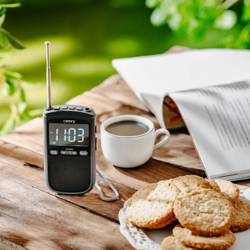Camry | Portable mini radio | CR 1905 | Alarm function | Black