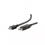 Video cable adapter ShiverPeaks BS77490-2 1m DisplayPort HDMI Type A