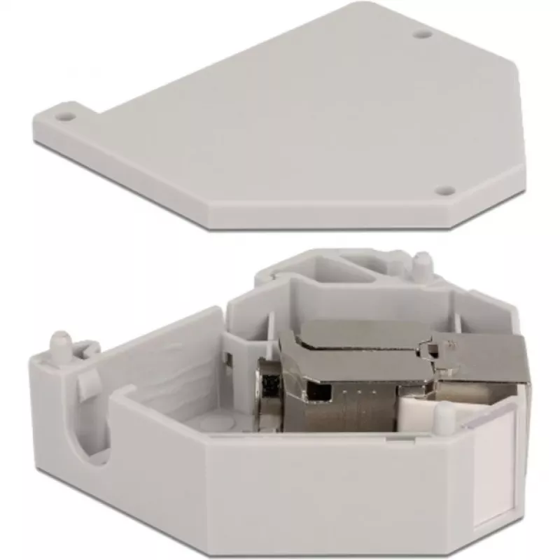 Delock - Modularadapter - DIN rail-mountable - CAT 6a - STP - Grey - 1 Connector (86014)