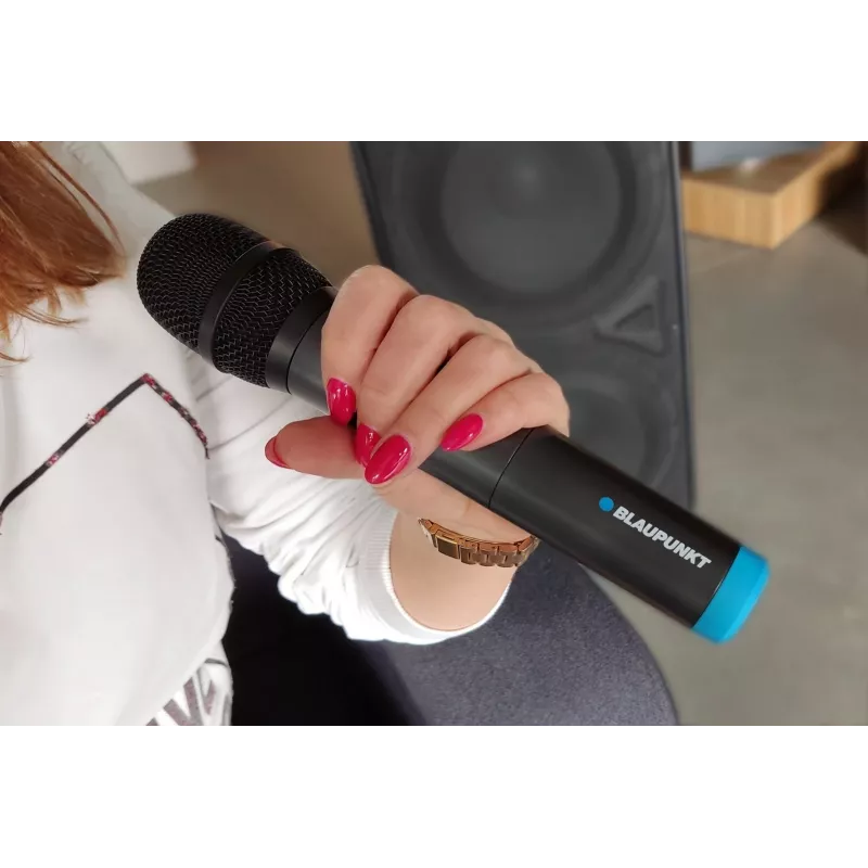 Microphone Blaupunkt WM60UDB