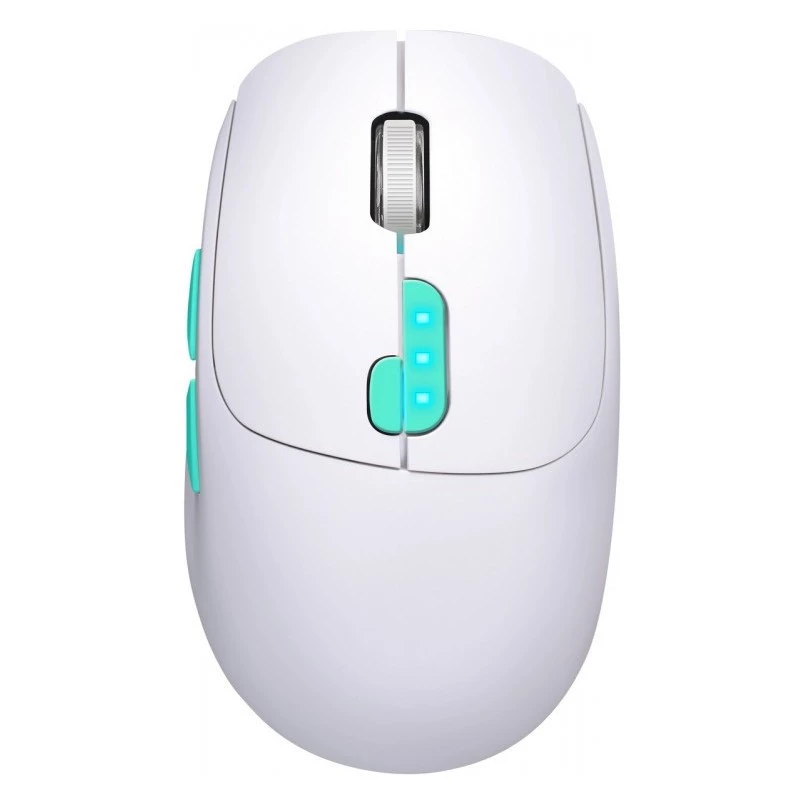 Mouse Defender NITTA MM-307 RF+BT OPTIC 1600dpi 6P WHITE