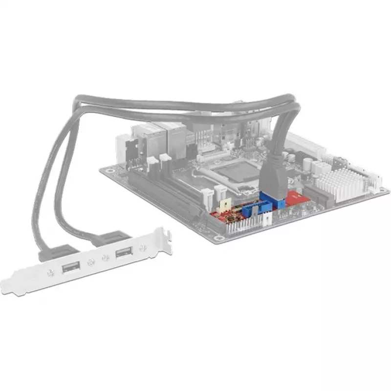 Delock Converter M.2 Key B+M male > 2 x USB3.0 Pin Header - USB-Adapter - M.2 Card - USB3.0 (intern) x 2 (62843)