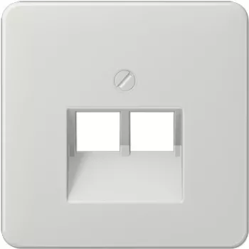 Jung CD569-2UALG Grey