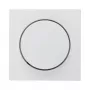 Dimmer Berker 11378989 mountable rotary dimmer, white