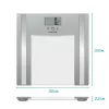 Glass Analyser Scale Salter 9182 SV3R
