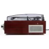 Camry Premium CR1113 Belt-Drive Turntable with Radio, Black
