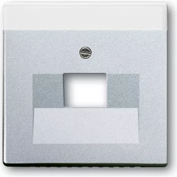 Busch Jaeger 1710-0-3674 Wall Plate/Switch Cover Aluminium (1710-0-3674)