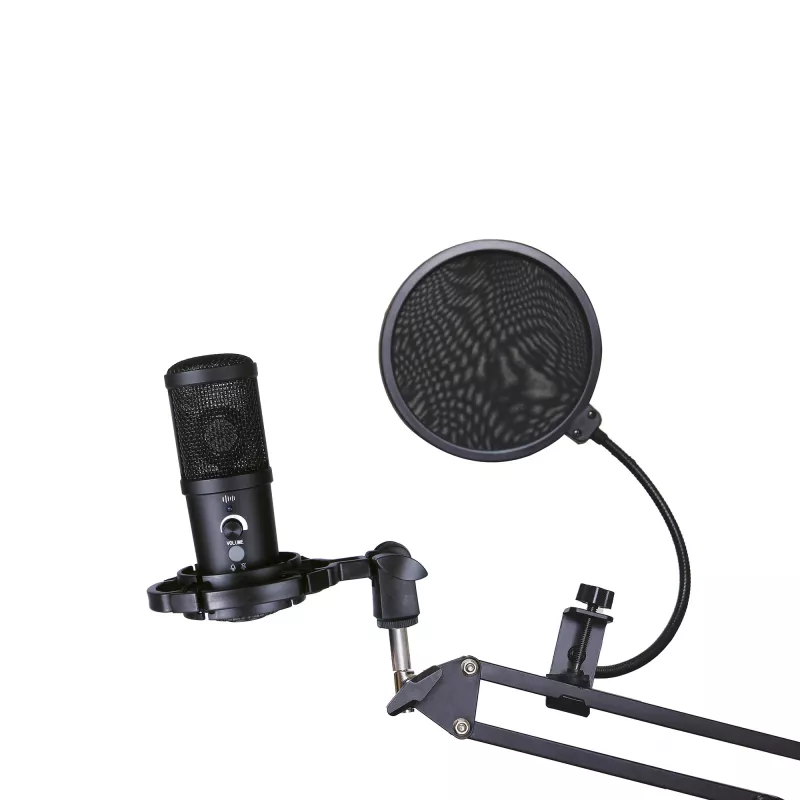 Studio microphone Easypix 62021 Black