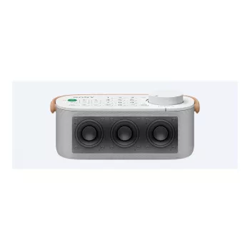 Sony SRS-LSR200 portable/party speaker White