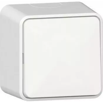 GIRA Rocker Switch 310613 switch AP pure white (310613)