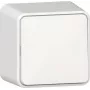 GIRA Rocker Switch 310613 switch AP pure white (310613)