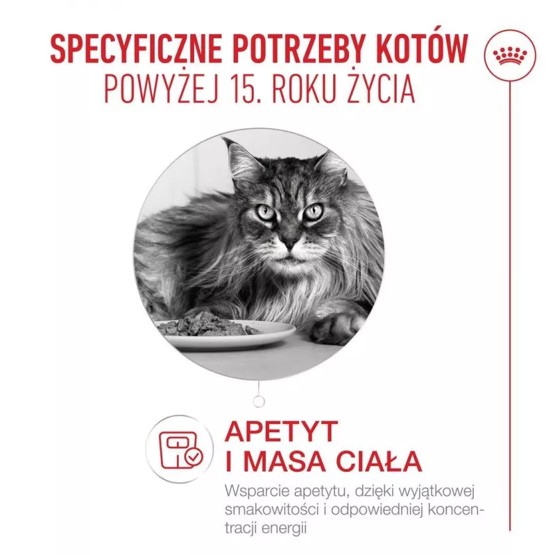 Dry cat food Royal Canin FHN Cat Ageing 15+ 2 kg — for senior cats 15 years and older, poultry flavour, 31% protein