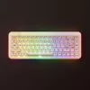 Mechanical Gaming Keyboard AKKO YU01 Antique Jade 65% RGB with V3 Piano Pro Switches
