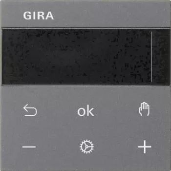 Gira RTR Display Anthracite 539328 (539328)
