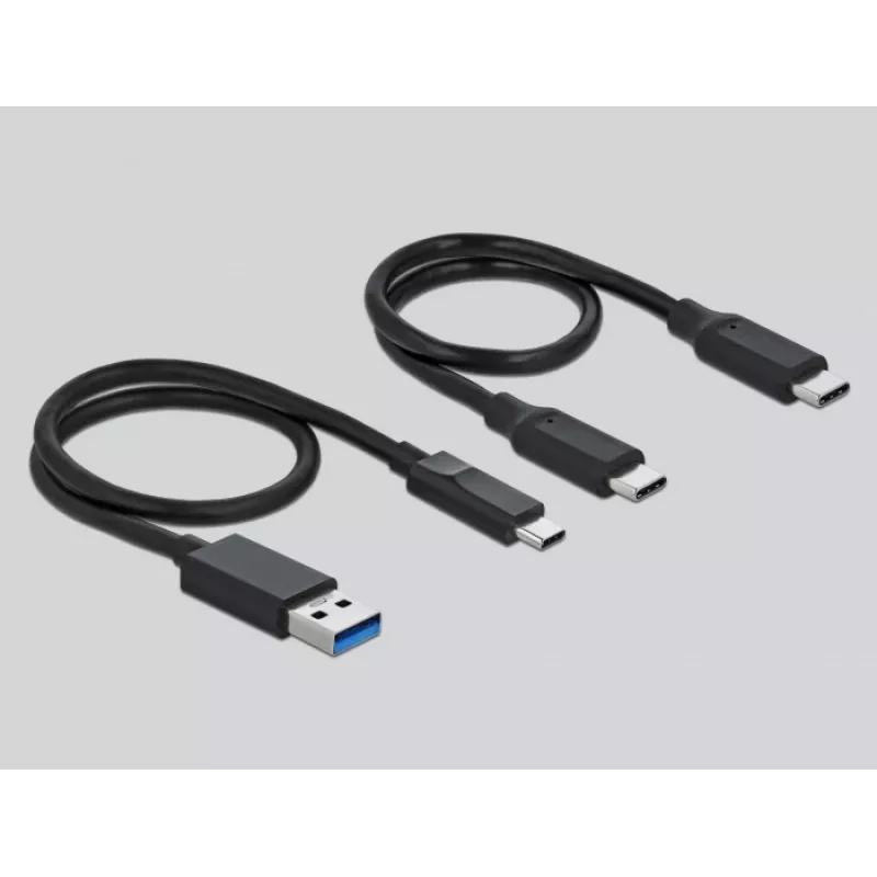 Card Reader DeLOCK USB Type-C for CFast SD + USB Hub