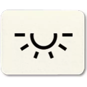 JUNG Symbol for KO cover. 33L ST550 white light 33L (33L)