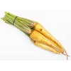 Olomouc Parsley Toraf Vegetable Seeds, 5g Package